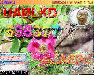 202308131145