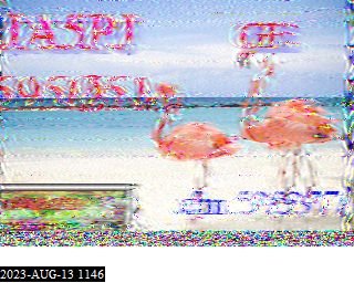 202308131146