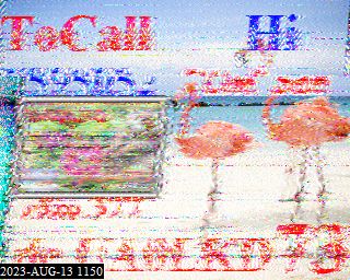 202308131150