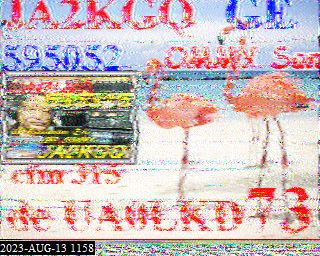 202308131158
