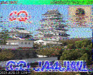 202308131259