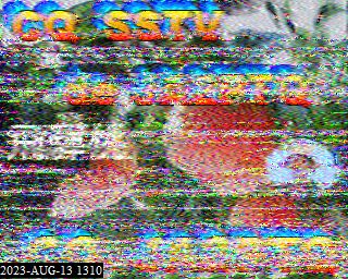 202308131310