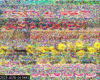 202308140441