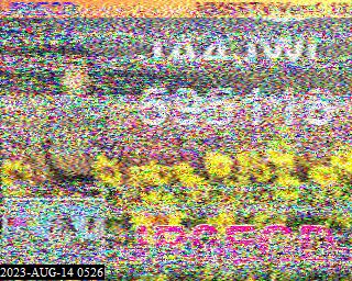 202308140526