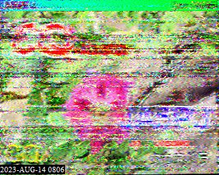 202308140806