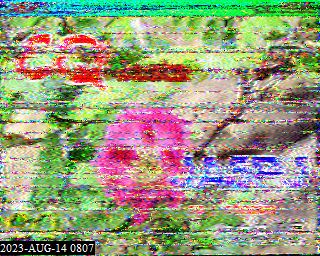 202308140807