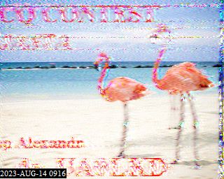 202308140916