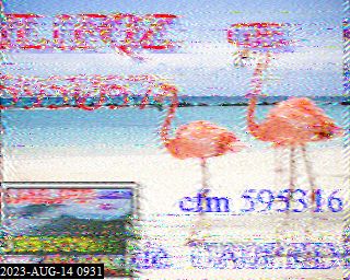 202308140931