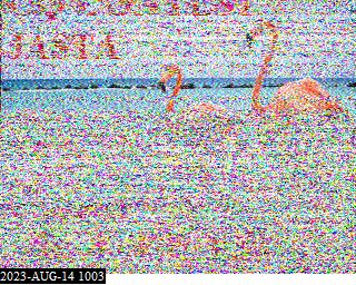 202308141003