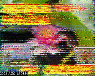 202308150854