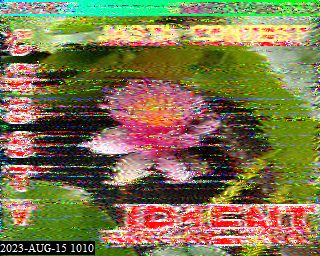 202308151010