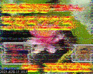 202308151013