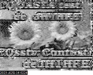 202308160224