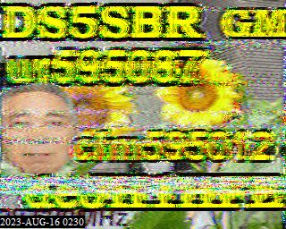 202308160230