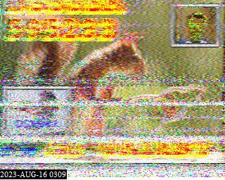 202308160309