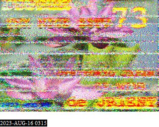 202308160315