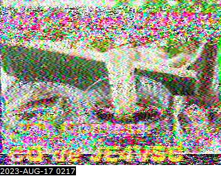 202308170217