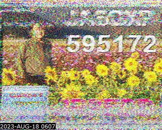 202308180607