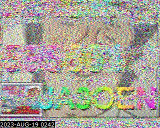 202308190242