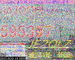 202308190559