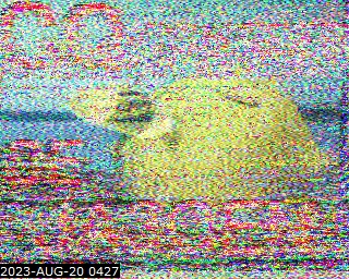 202308200427