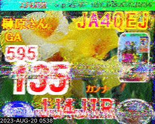 202308200538