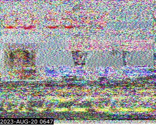 202308200647