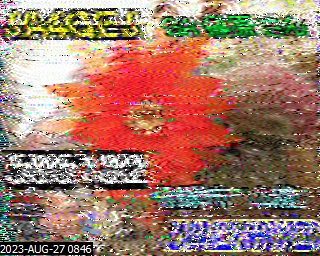 202308270846