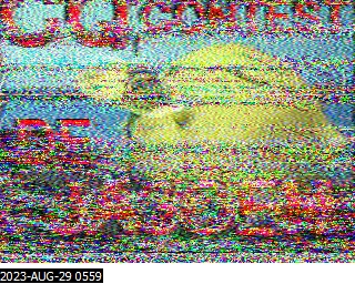 202308290559