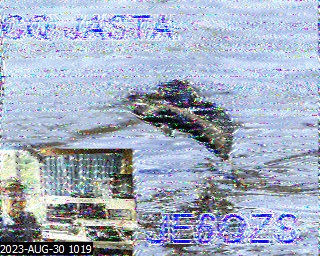 202308301019