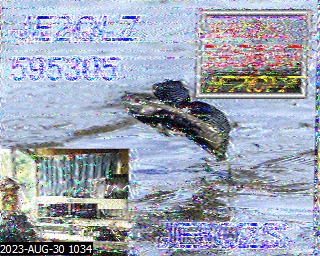 202308301034
