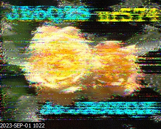 202309011022