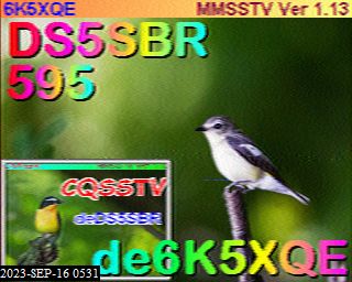 202309160531