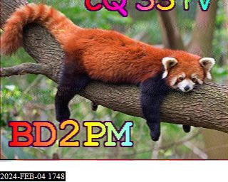 202402041748