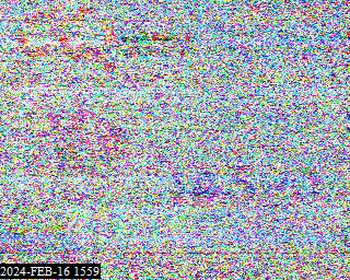 202402161559