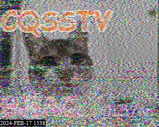 202402171538