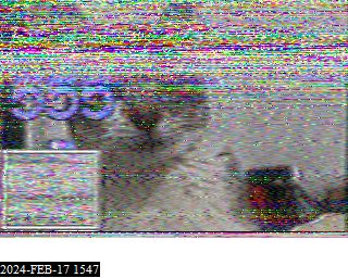 202402171547
