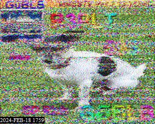 202402181759