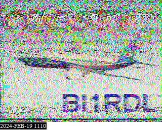 202402191110