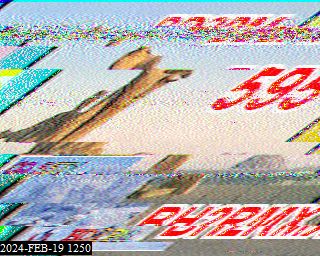202402191250