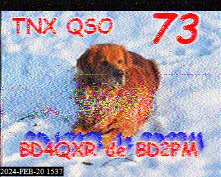202402201537