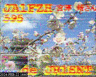 202402221640