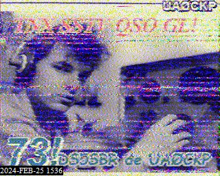 202402251536