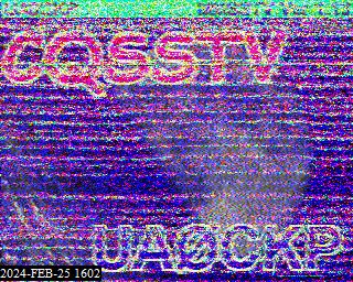 202402251602