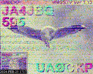 202402251717
