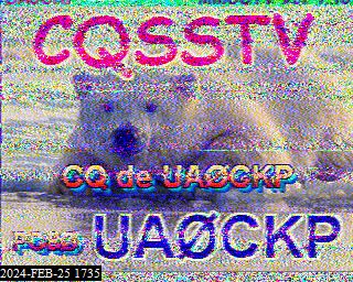 202402251735