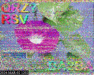 202403021202