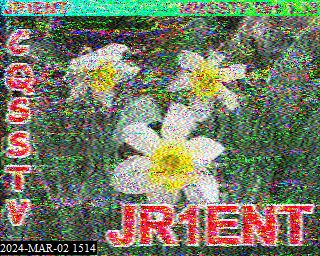 202403021514
