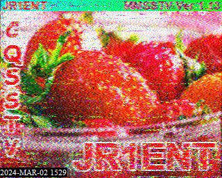 202403021529