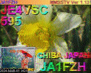 202403051625